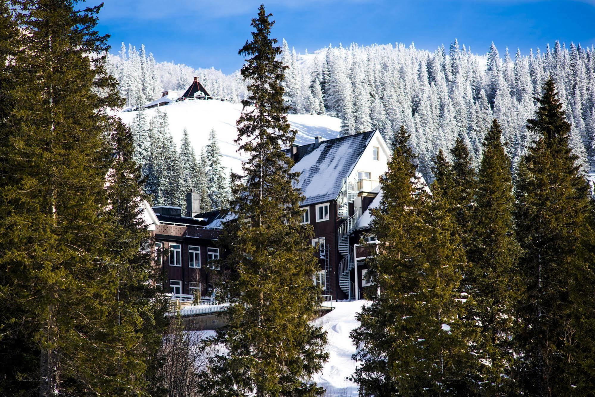 Hotell Fjaellgarden Ski-In Ski-Out Are Ngoại thất bức ảnh